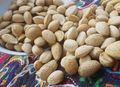 خرید و قیمت بادام سنگی عمده + فروش صادراتی